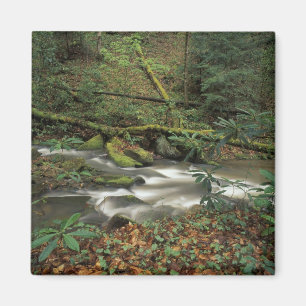 USA, Tennessee. Big South Fork National River Magnet