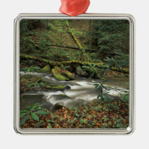 USA, Tennessee. Big South Fork National River Metal Ornament