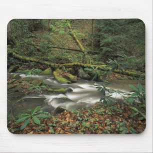 USA, Tennessee. Big South Fork National River Mouse Pad