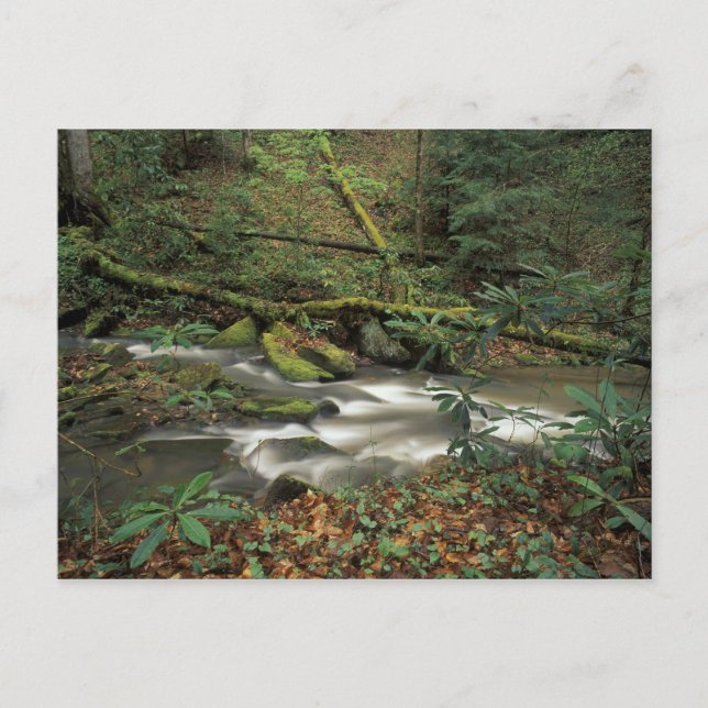 USA, Tennessee. Big South Fork National River Postcard (Front)