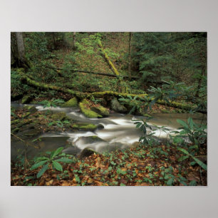 USA, Tennessee. Big South Fork National River Poster