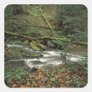 USA, Tennessee. Big South Fork National River Square Sticker