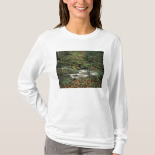 USA, Tennessee. Big South Fork National River T-Shirt