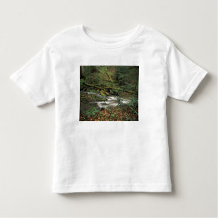 USA, Tennessee. Big South Fork National River Toddler T-Shirt