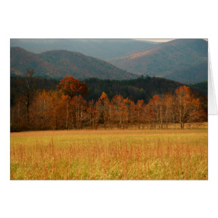 USA, Tennessee. Cades Cove In Smoky Mountain