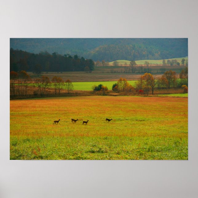 USA, Tennessee. Cades Cove In Smoky Mountain 2 Poster (Front)
