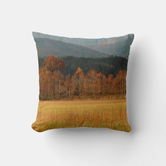 USA, Tennessee. Cades Cove In Smoky Mountain Cushion (Front)