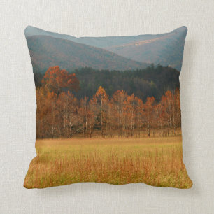 USA, Tennessee. Cades Cove In Smoky Mountain Cushion