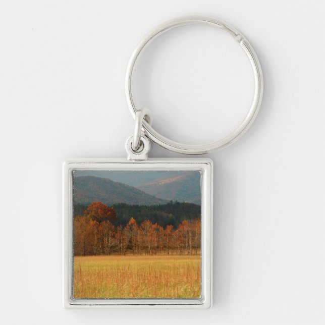 USA, Tennessee. Cades Cove In Smoky Mountain Key Ring (Front)