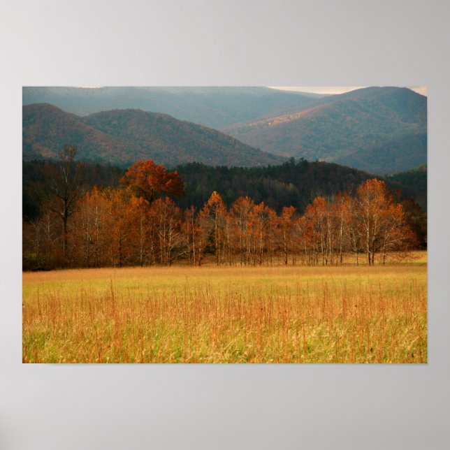 USA, Tennessee. Cades Cove In Smoky Mountain Poster (Front)