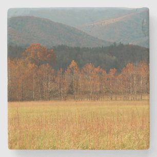 USA, Tennessee. Cades Cove In Smoky Mountain Stone Coaster