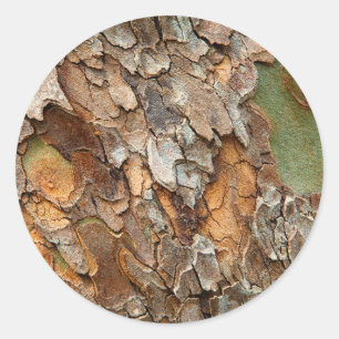 USA, Tennessee, Close Up Of Bark On A Tree Classic Round Sticker
