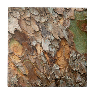 USA, Tennessee, Close Up Of Bark On A Tree Tile