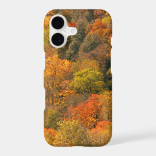 USA, Tennessee. Fall Foliage 2