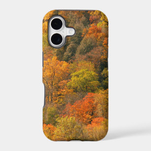 USA, Tennessee. Fall Foliage 2