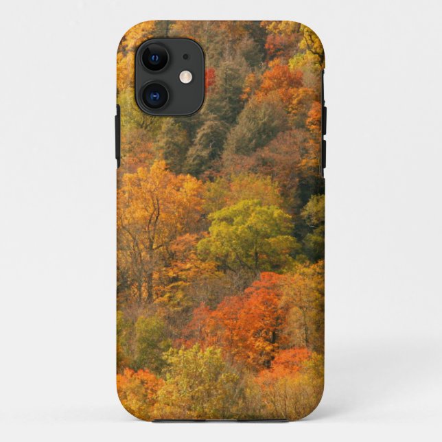 USA, Tennessee. Fall Foliage 2 Case-Mate iPhone Case (Back)