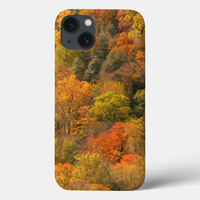 USA, Tennessee. Fall Foliage 2 Case-Mate iPhone Case (Back)