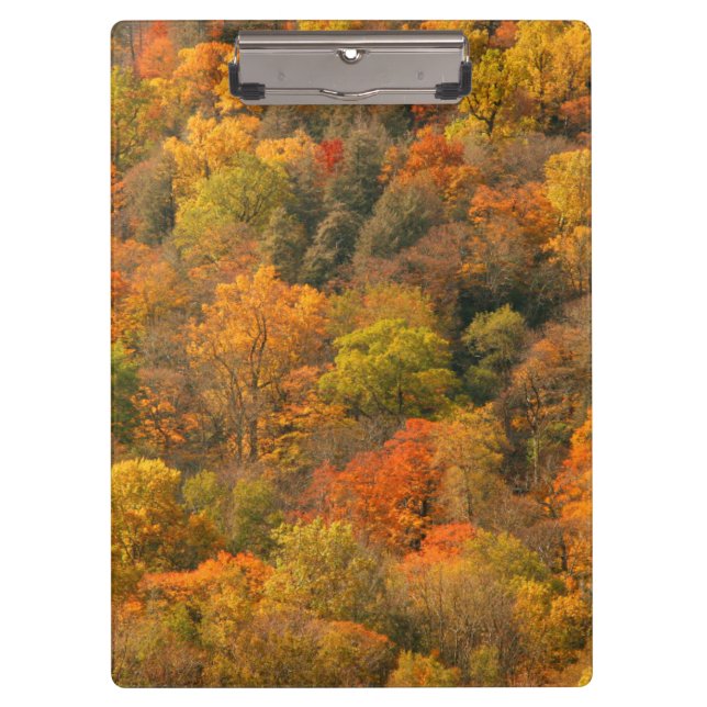 USA, Tennessee. Fall Foliage 2 Clipboard (Front)