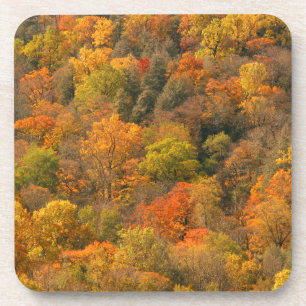 USA, Tennessee. Fall Foliage 2 Coaster