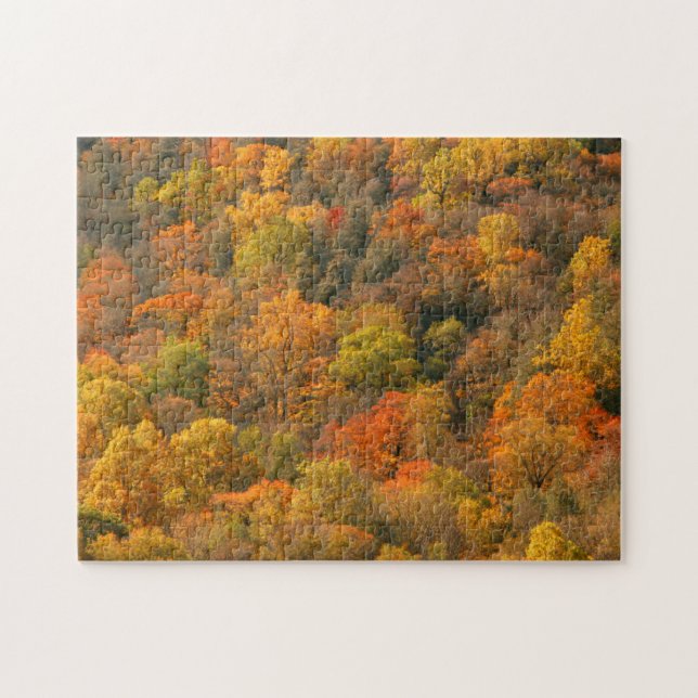 USA, Tennessee. Fall Foliage 2 Jigsaw Puzzle (Horizontal)