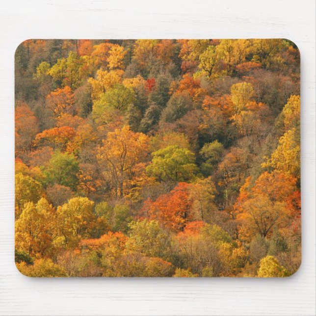 USA, Tennessee. Fall Foliage 2 Mouse Pad (Front)