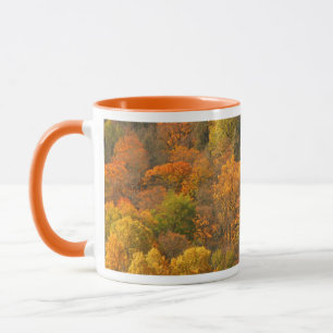 USA, Tennessee. Fall Foliage 2 Mug