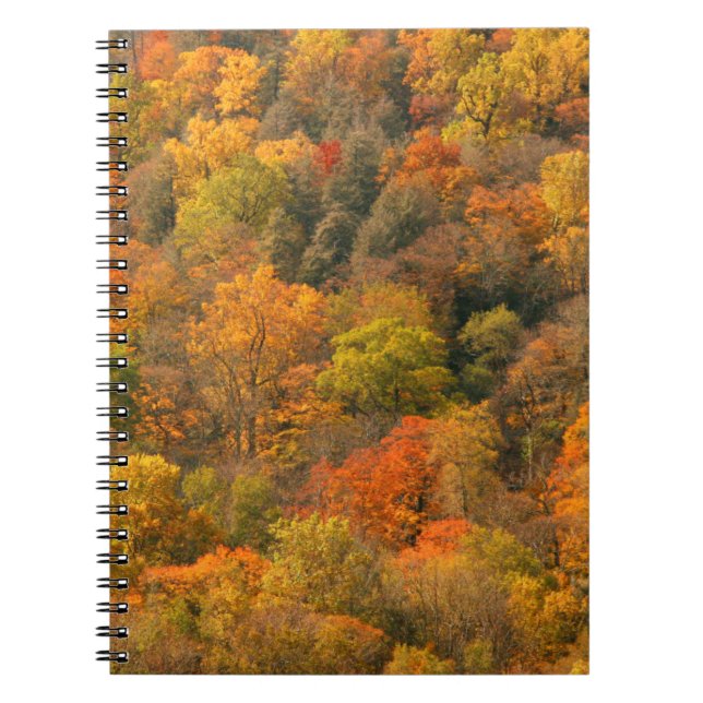 USA, Tennessee. Fall Foliage 2 Notebook (Front)
