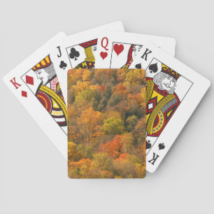 USA, Tennessee. Fall Foliage 2 Playing Cards