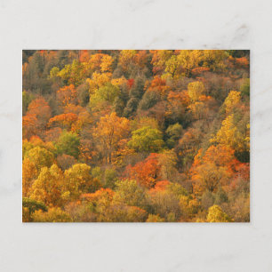 USA, Tennessee. Fall Foliage 2 Postcard