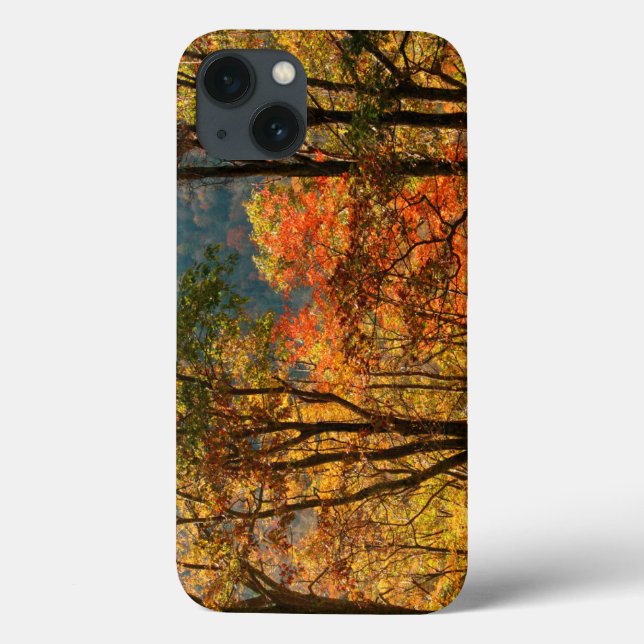 USA, Tennessee. Fall Foliage Case-Mate iPhone Case (Back)