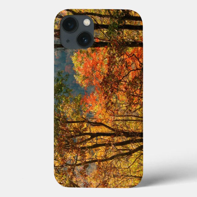 USA, Tennessee. Fall Foliage Case-Mate iPhone Case (Back)