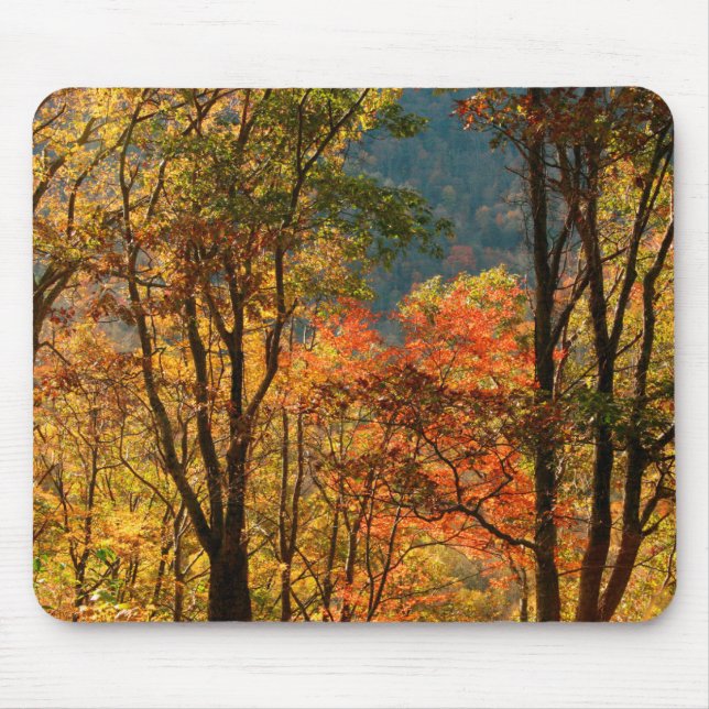 USA, Tennessee. Fall Foliage Mouse Pad (Front)