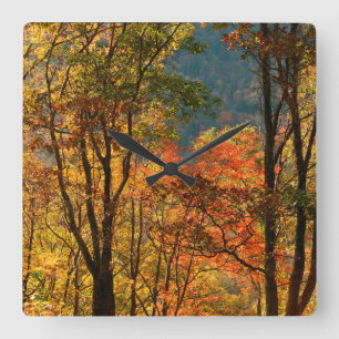 USA, Tennessee. Fall Foliage Square Wall Clock