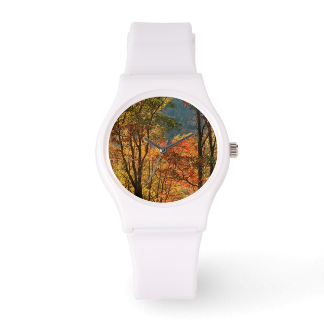 USA, Tennessee. Fall Foliage Watch (Front)