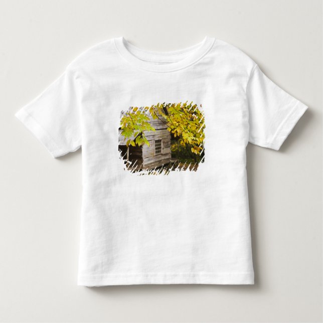 USA, Tennessee, Gatlinburg. Great Smoky Toddler T-Shirt (Front)