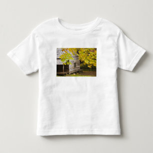 USA, Tennessee, Gatlinburg. Great Smoky Toddler T-Shirt
