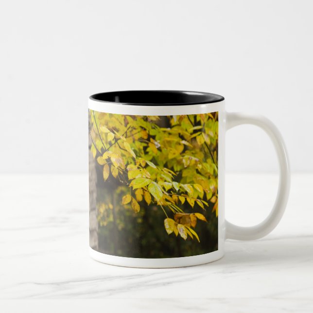 USA, Tennessee, Gatlinburg. Great Smoky Two-Tone Coffee Mug (Right)