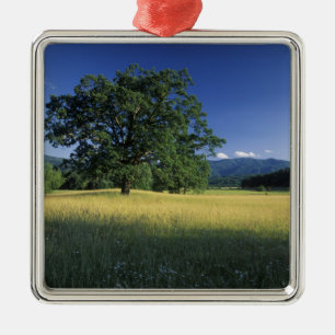 USA, Tennessee. Great Smokey Mountains 3 Metal Ornament