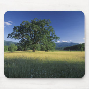 USA, Tennessee. Great Smokey Mountains 3 Mouse Pad