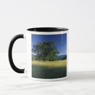 USA, Tennessee. Great Smokey Mountains 3 Mug