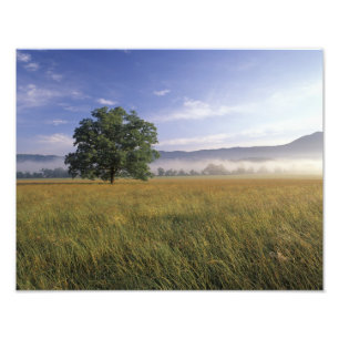 USA, Tennessee. Great Smokey Mountains 3 Photo Print