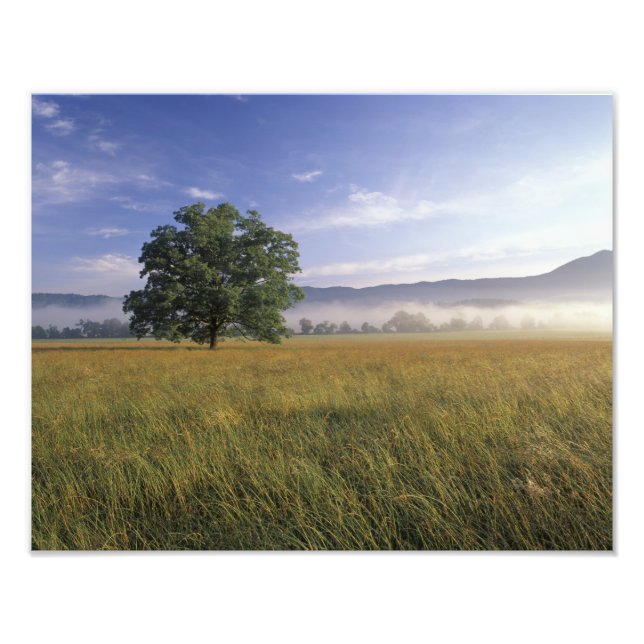 USA, Tennessee. Great Smokey Mountains 3 Photo Print (Front)
