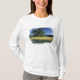 USA, Tennessee. Great Smokey Mountains 3 T-Shirt