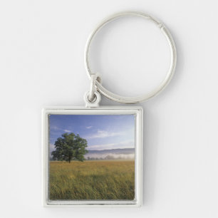 USA, Tennessee. Great Smokey Mountains Key Ring