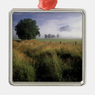 USA, Tennessee, Great Smokey Mountains Metal Tree Decoration