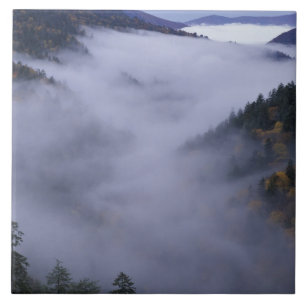 USA, Tennessee. Great Smokey Mountains National Ceramic Tile