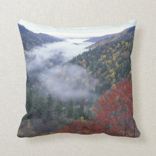 USA, Tennessee, Great Smokey Mountains National Cushion