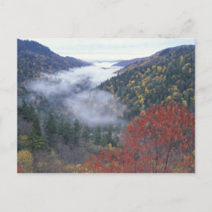 USA, Tennessee, Great Smokey Mountains National Postcard