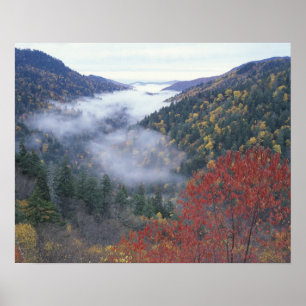 USA, Tennessee, Great Smokey Mountains National Poster