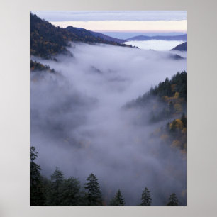 USA, Tennessee. Great Smokey Mountains National Poster